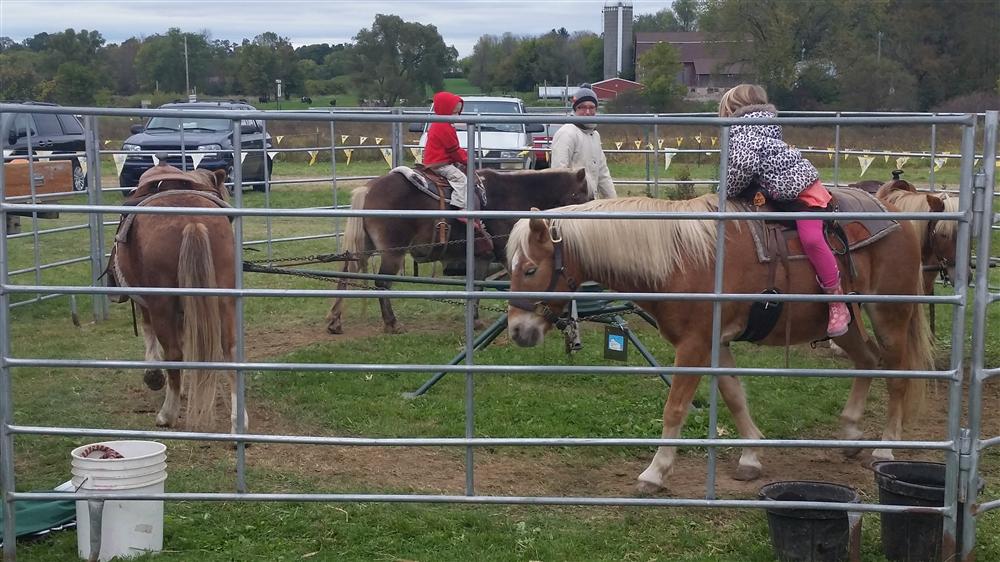 Pony Rides in Cedarburg